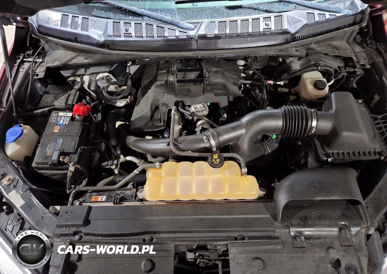 2018 Ford F150 Supercrew VIN:1FTEW1EP5JFC72851 - 11