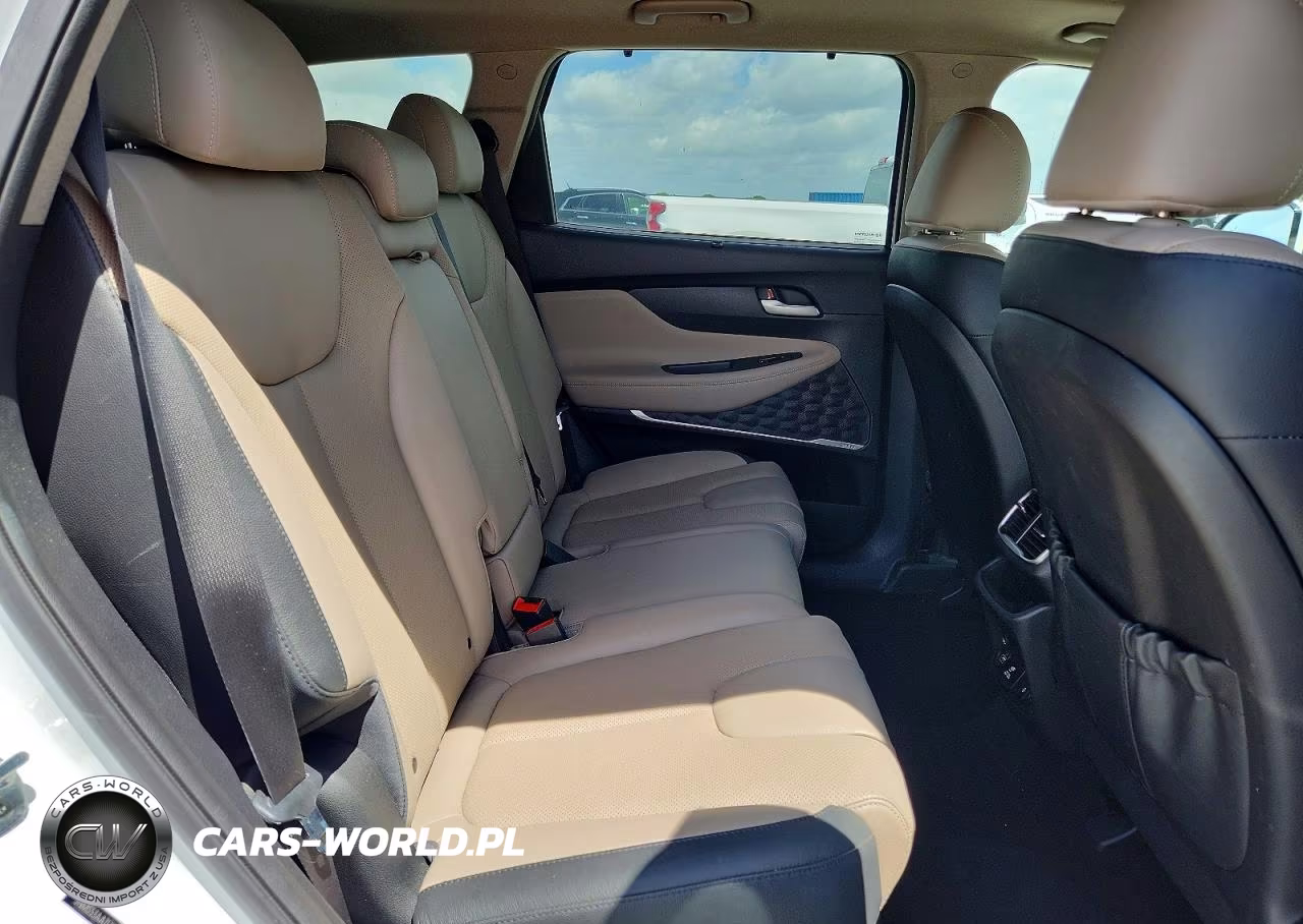 2020 Hyundai Santa Fe Limited 2.0T VIN:5NMS53AA7LH302120 - 11