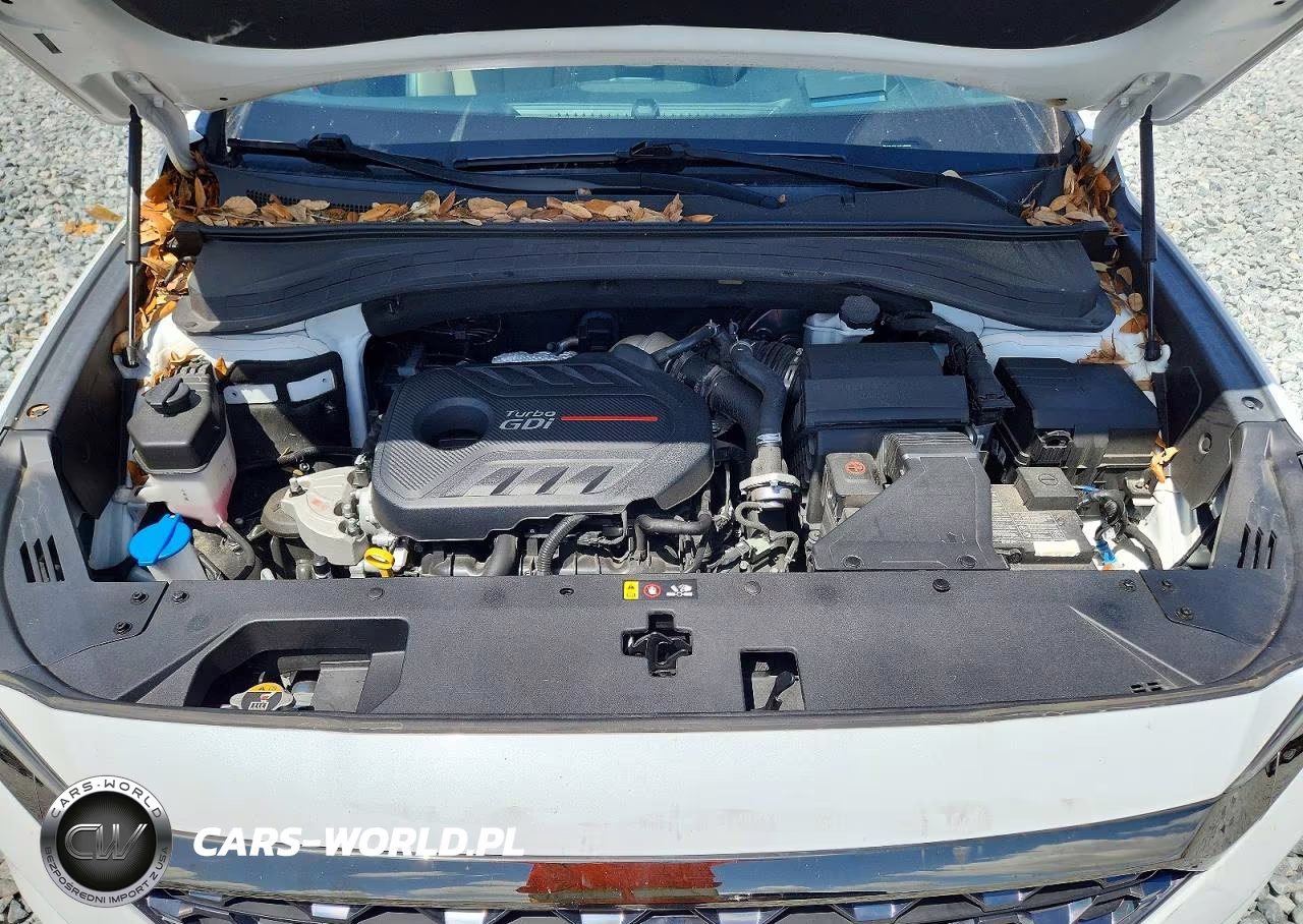 2020 Hyundai Santa Fe Limited 2.0T VIN:5NMS53AA7LH302120 - 12
