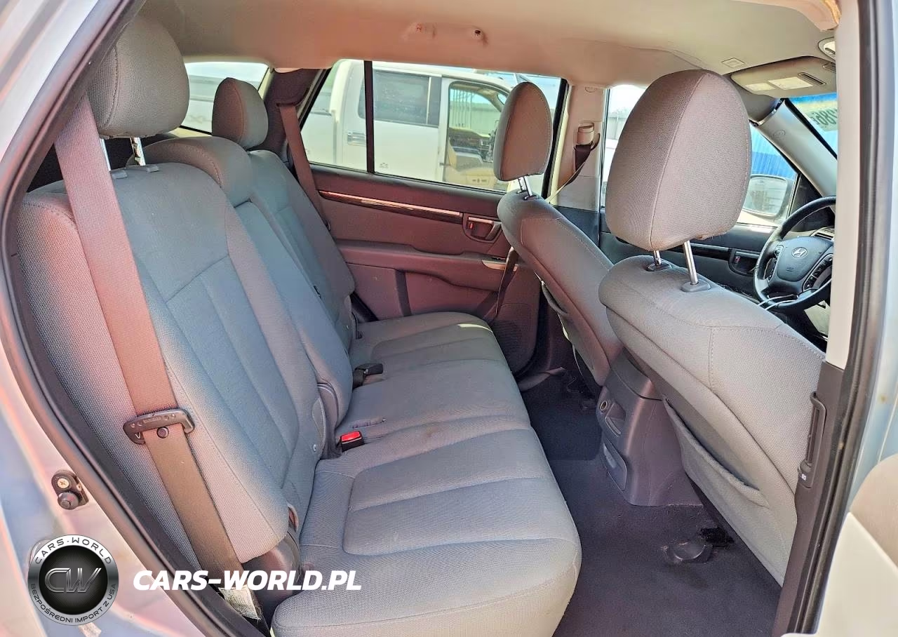 2010 Hyundai Santa Fe Gls VIN:5NMSG3AB8AH398954 - 10