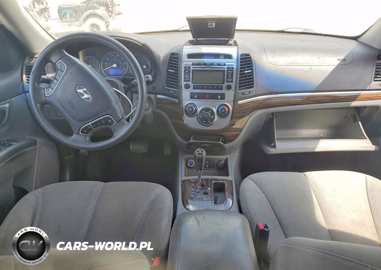 2010 Hyundai Santa Fe Gls VIN:5NMSG3AB8AH398954 - 8
