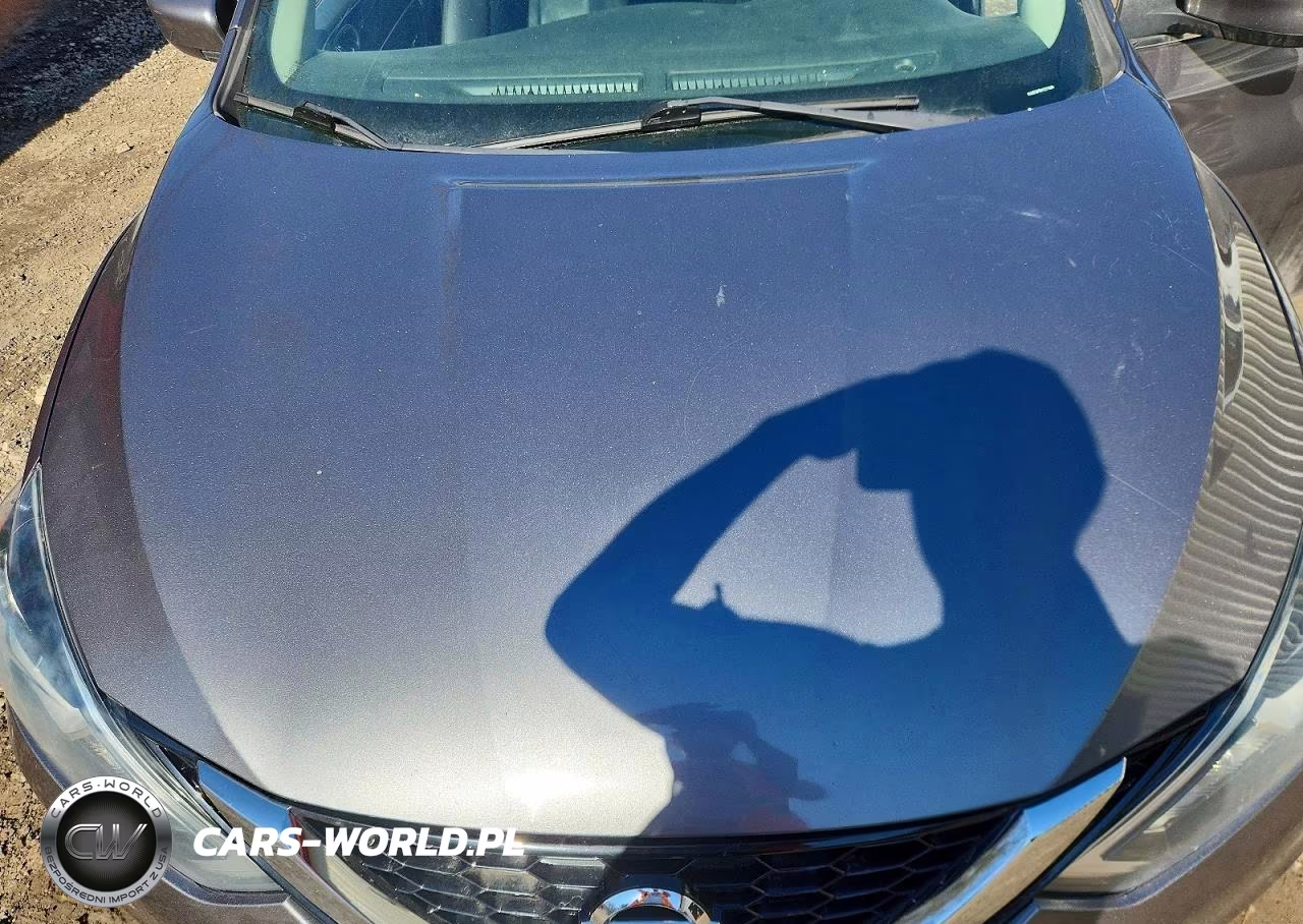 2017 Nissan Sentra Sv VIN:3N1AB7AP9HY371083 - 11