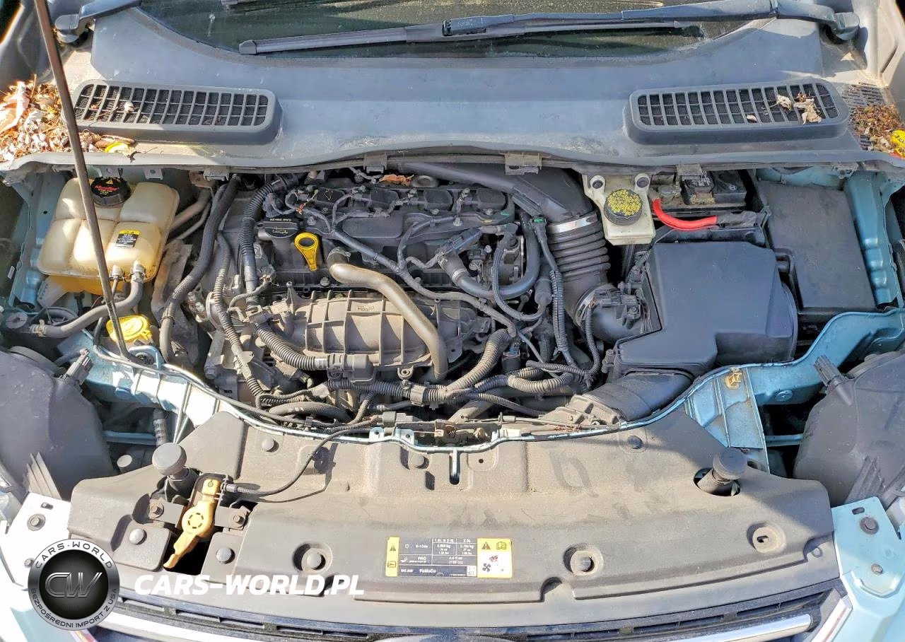 2013 Ford Escape Sel VIN:1FMCU0HX9DUA01032 - 12