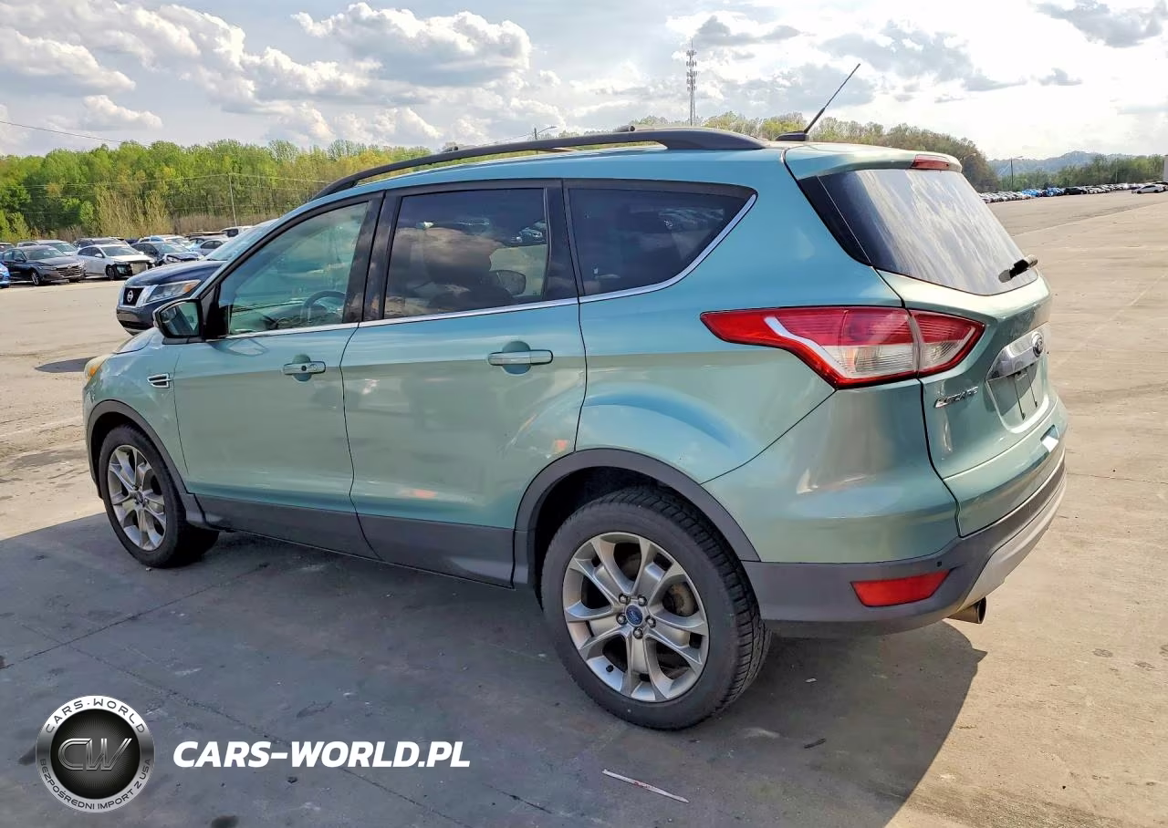 2013 Ford Escape Sel VIN:1FMCU0HX9DUA01032 - 2