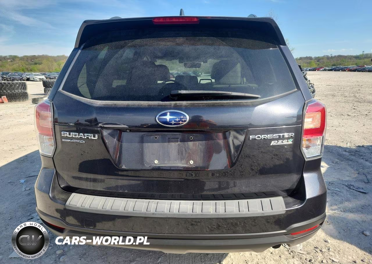 2017 Subaru Forester 2.5I Premium VIN:JF2SJAGC1HH474758 - 6