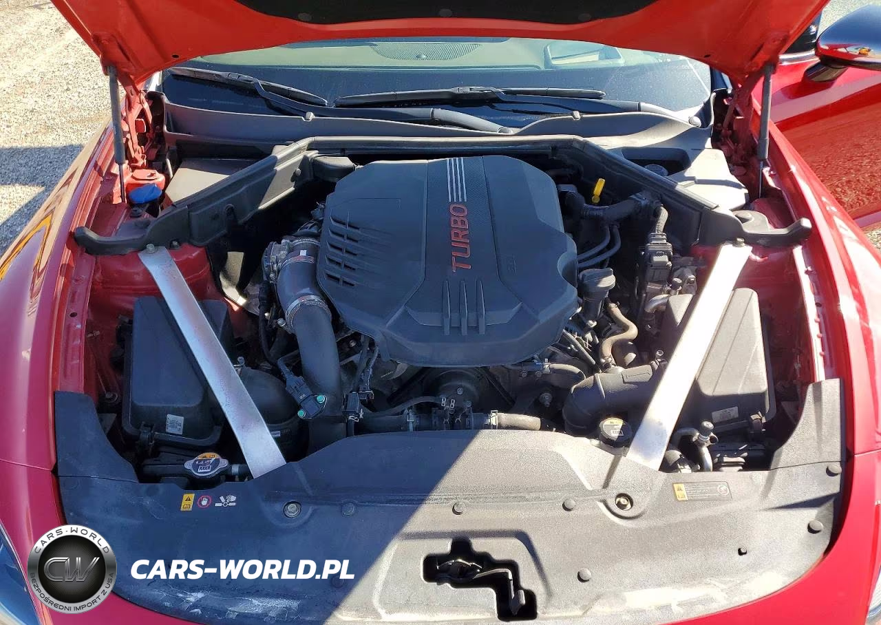 2022 Kia Stinger Gt2 VIN:KNAE55LC9N6109133 - 11