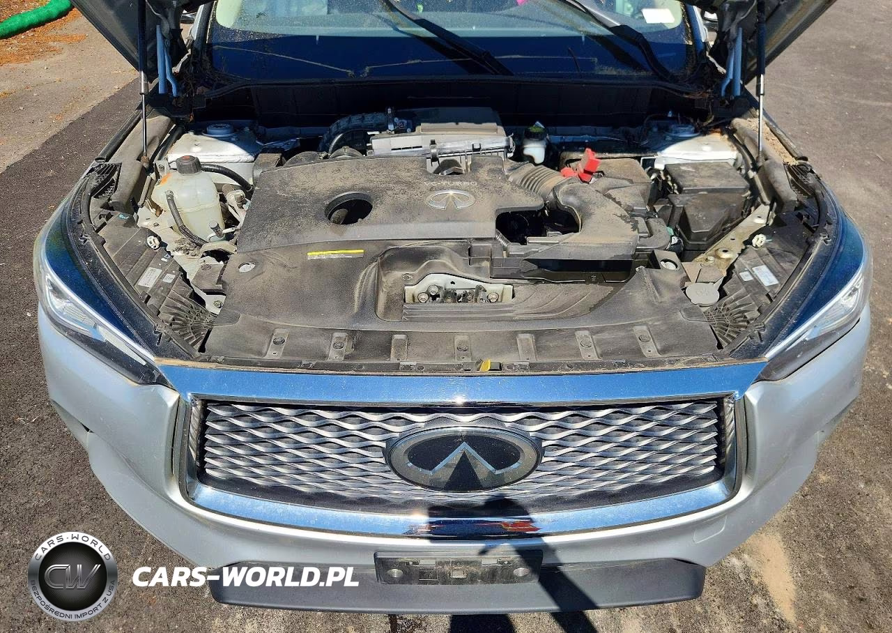 2019 Infiniti Qx50 VIN:3PCAJ5M11KF135283 - 12