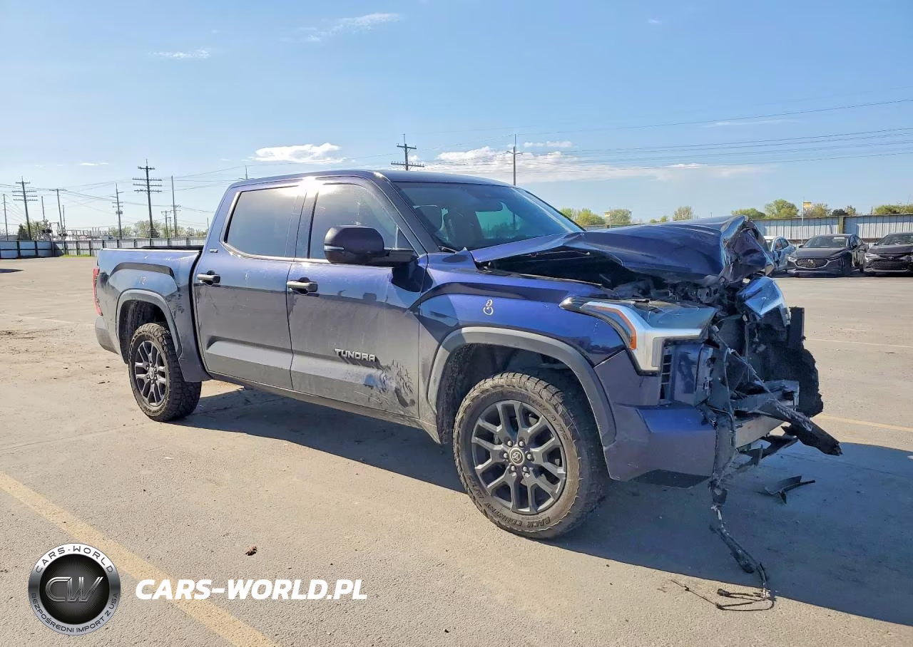 2022 Toyota Tundra Sr5 VIN:5TFLA5DB0NX025305 - 4