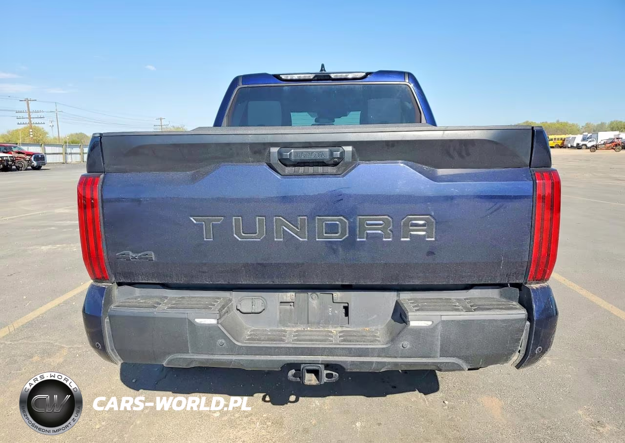 2022 Toyota Tundra Sr5 VIN:5TFLA5DB0NX025305 - 6