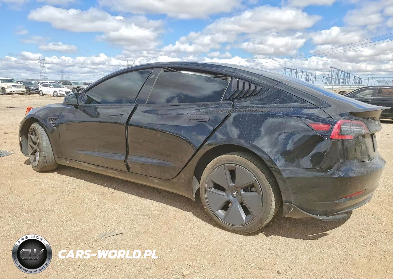 2023 Tesla Model 3 VIN:5YJ3E1EA3PF425195 - 2