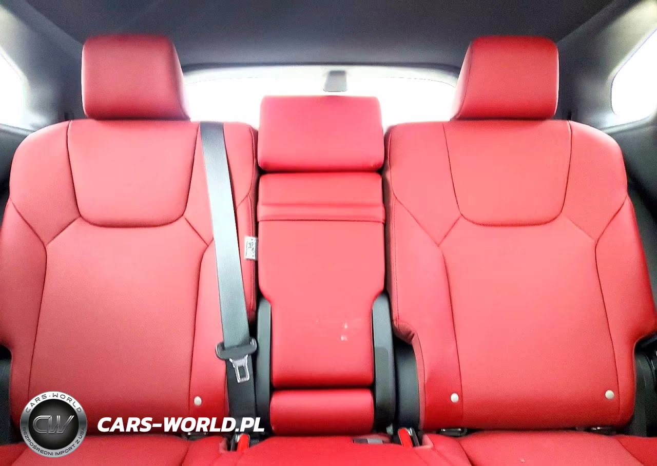 2024 Lexus Rx 350 F Sport Handling VIN:2T2BAMCA3RC088770 - 10