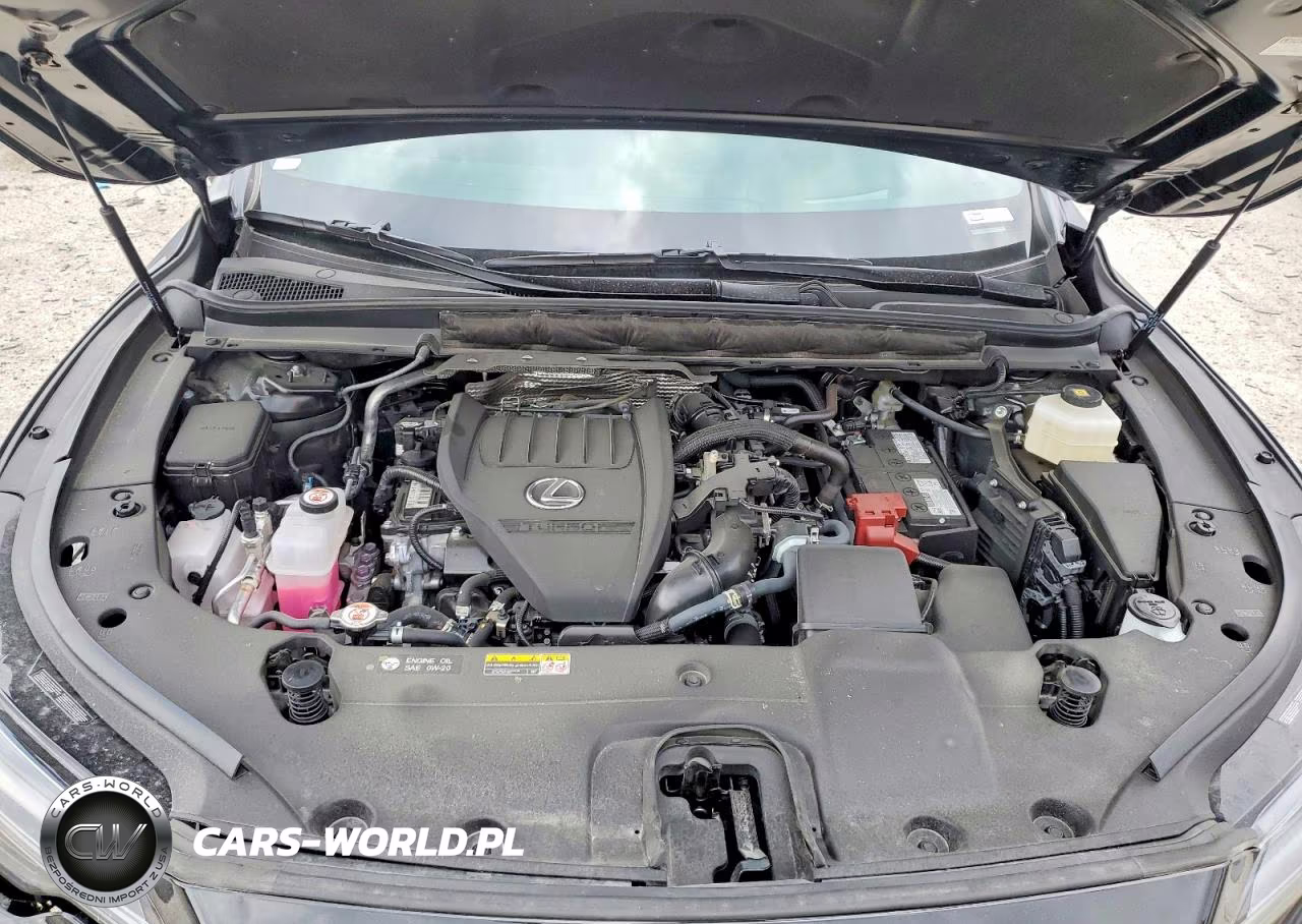 2024 Lexus Rx 350 F Sport Handling VIN:2T2BAMCA3RC088770 - 12