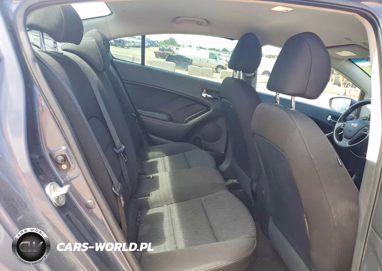 2016 Kia Forte Lx VIN:KNAFK4A62G5496380 - 10