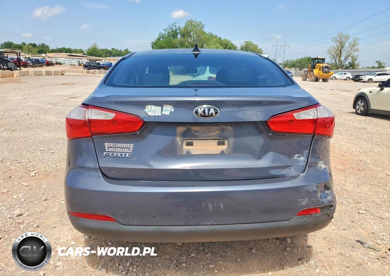 2016 Kia Forte Lx VIN:KNAFK4A62G5496380 - 6
