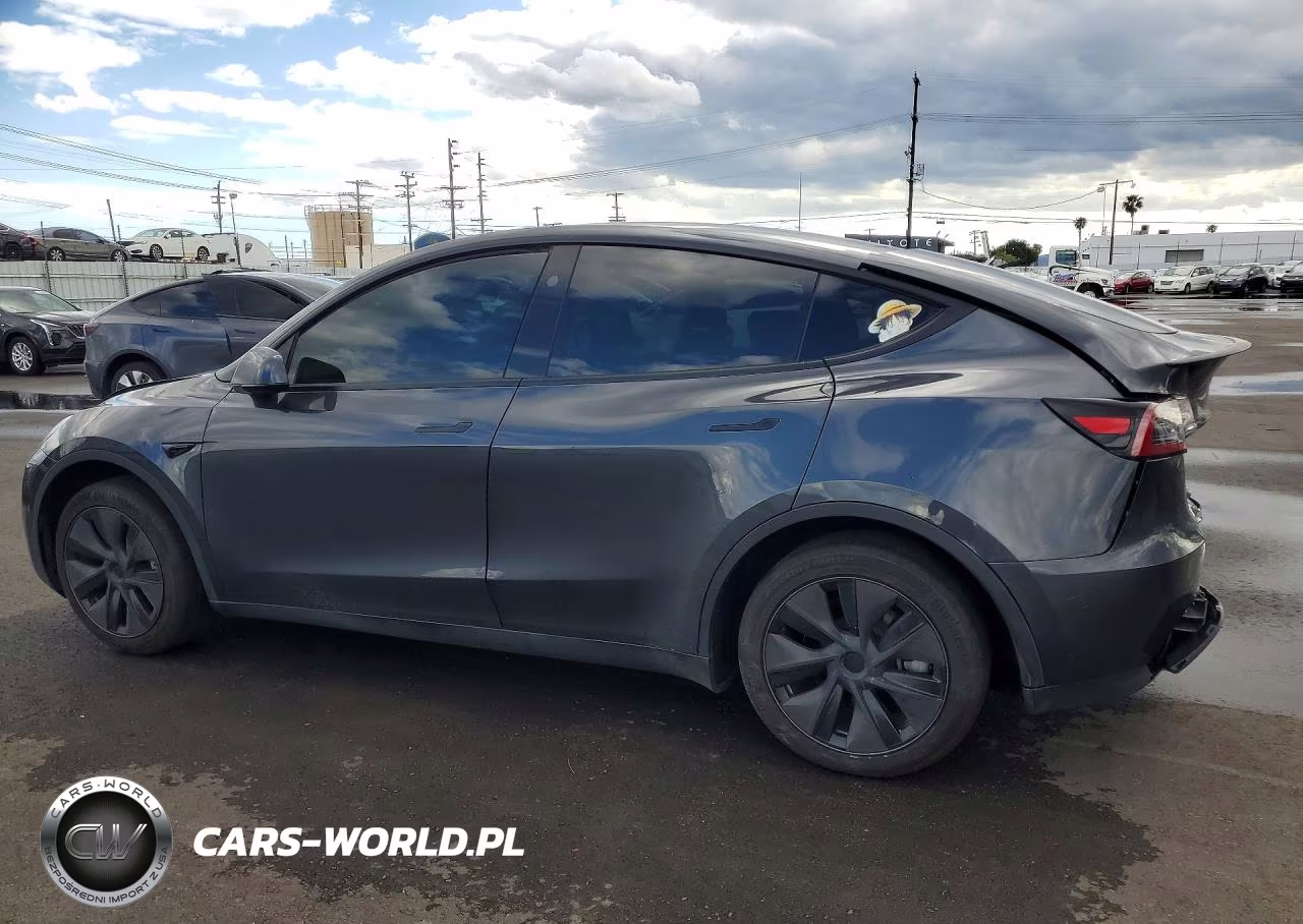 2025 Tesla Model Y VIN:7SAYGDED2SF314063 - 2