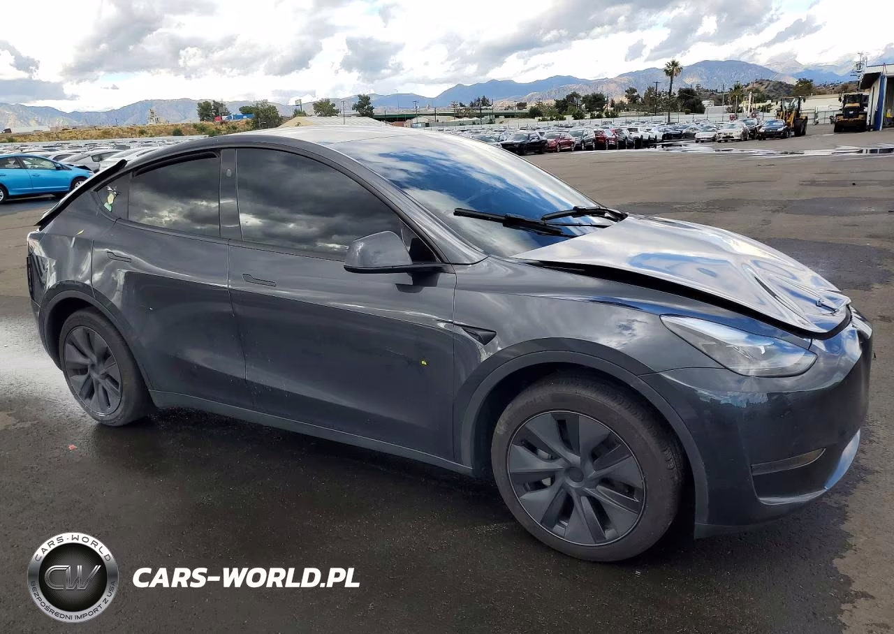 2025 Tesla Model Y VIN:7SAYGDED2SF314063 - 4