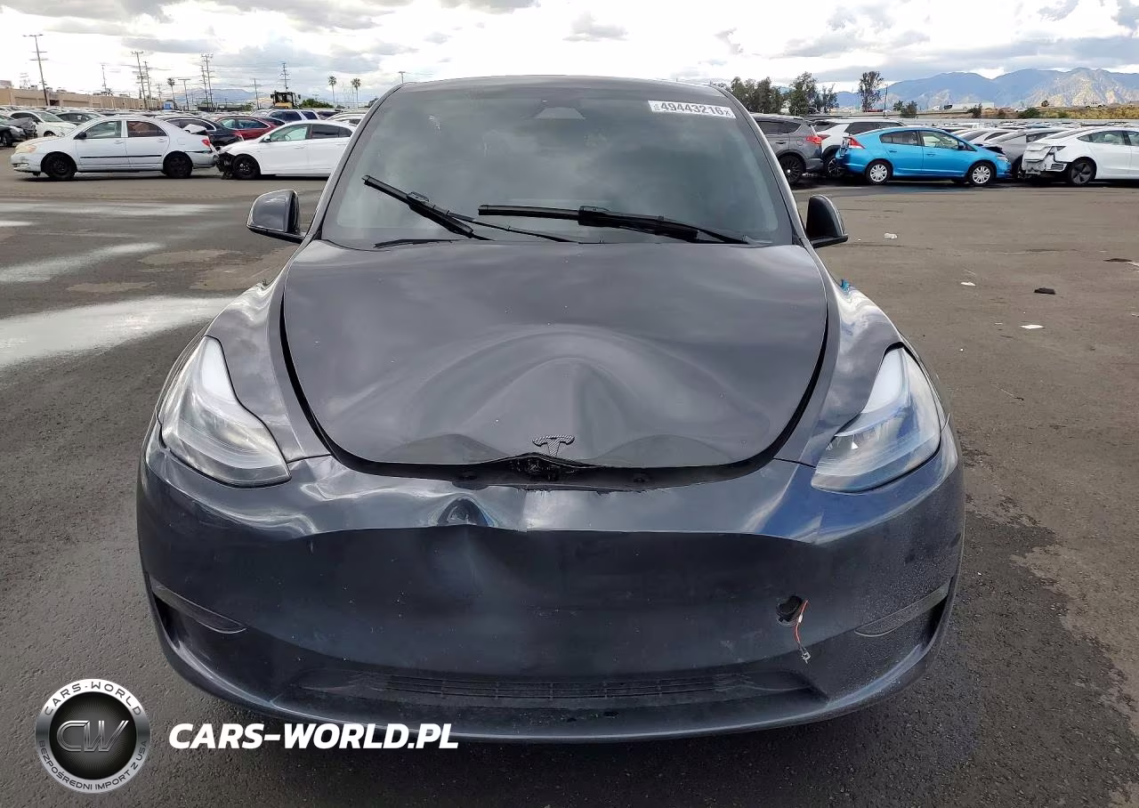 2025 Tesla Model Y VIN:7SAYGDED2SF314063 - 5