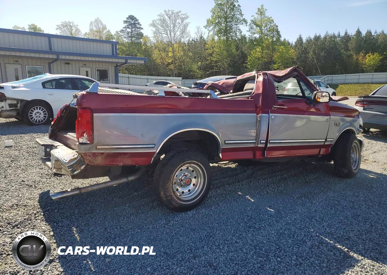 1995 Ford F150 VIN:1FTEF15N5SNA03979 - 3