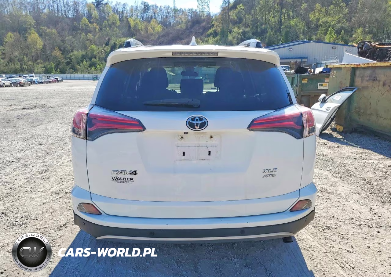 2017 Toyota Rav4 Xle VIN:JTMRFREV9HD202287 - 6