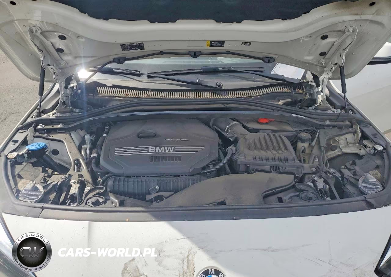 2022 BMW 228Xi VIN:WBA73AK06N7L38538 - 11