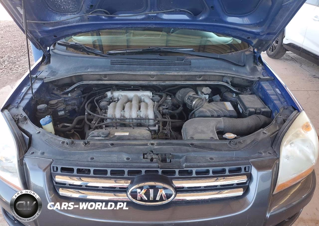2007 Kia Sportage Lx VIN:KNDJE723877395746 - 12