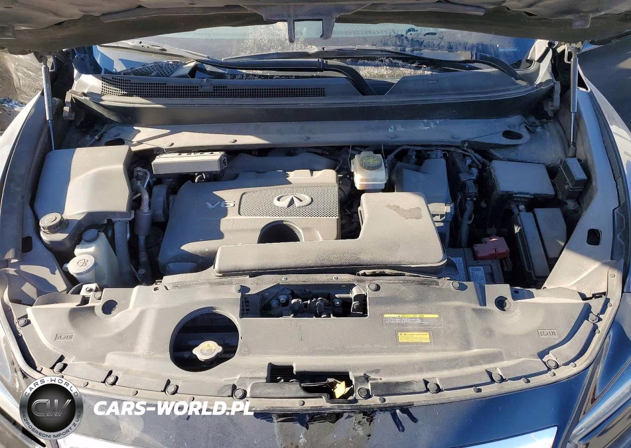 2019 Infiniti Qx60 Pure VIN:5N1DL0MN3KC558842 - 12