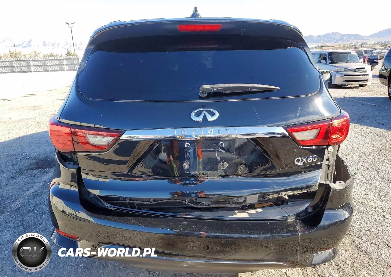 2019 Infiniti Qx60 Pure VIN:5N1DL0MN3KC558842 - 6