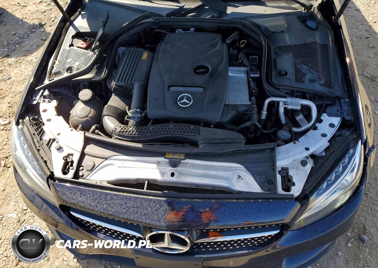 2018 Mercedes-Benz C 300 VIN:WDDWJ4JB3JF721707 - 11