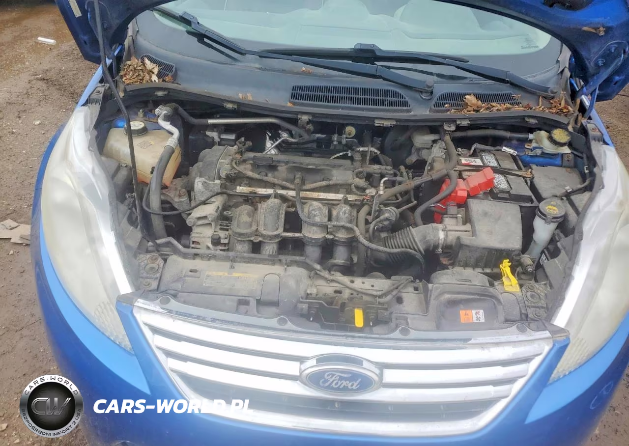 2011 Ford Fiesta Sel VIN:3FADP4CJ7BM156390 - 11