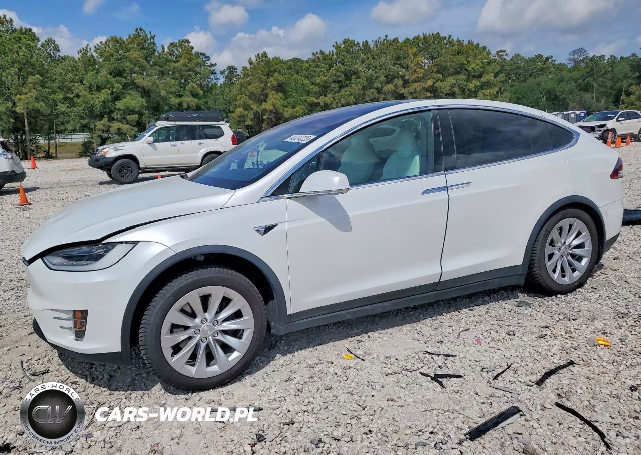 2020 Tesla Model X