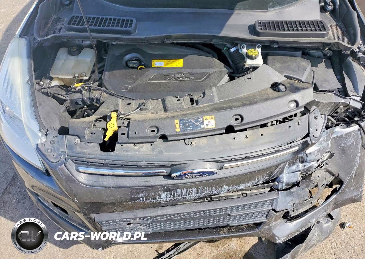 2016 Ford Escape Se VIN:1FMCU0GX6GUB35325 - 11
