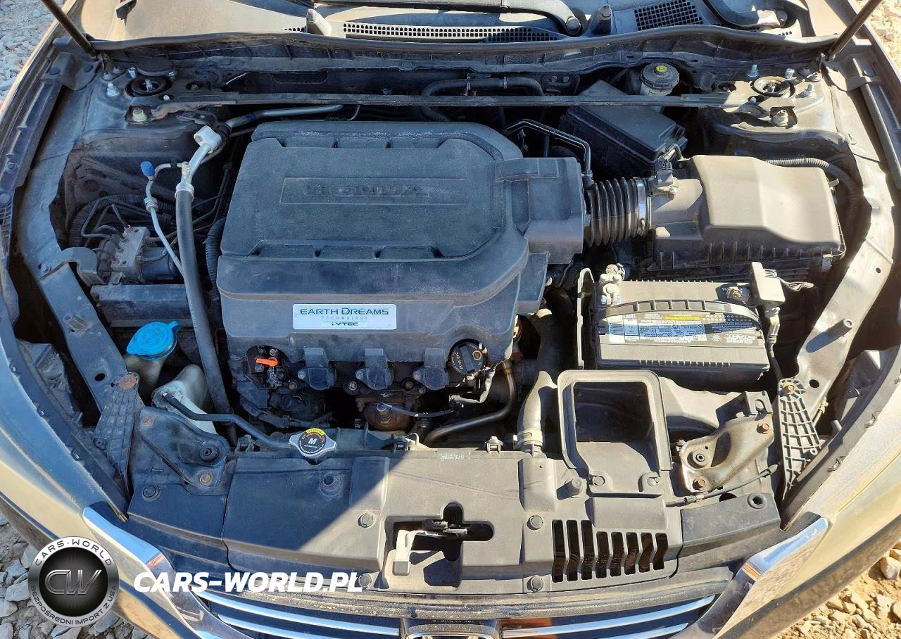 2014 Honda Accord Exl VIN:1HGCR3F83EA007982 - 11