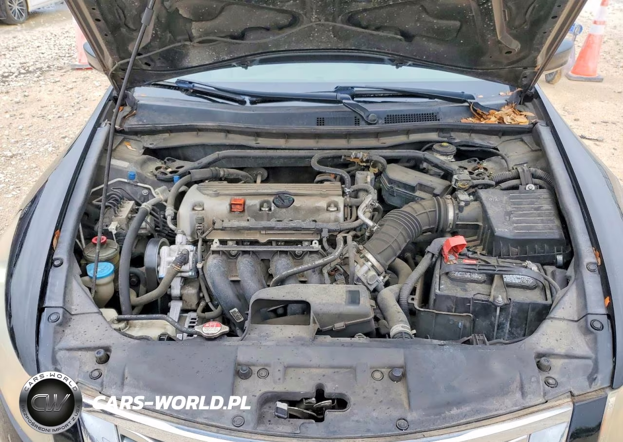 2010 Honda Accord Exl VIN:1HGCP2F8XAA079269 - 11