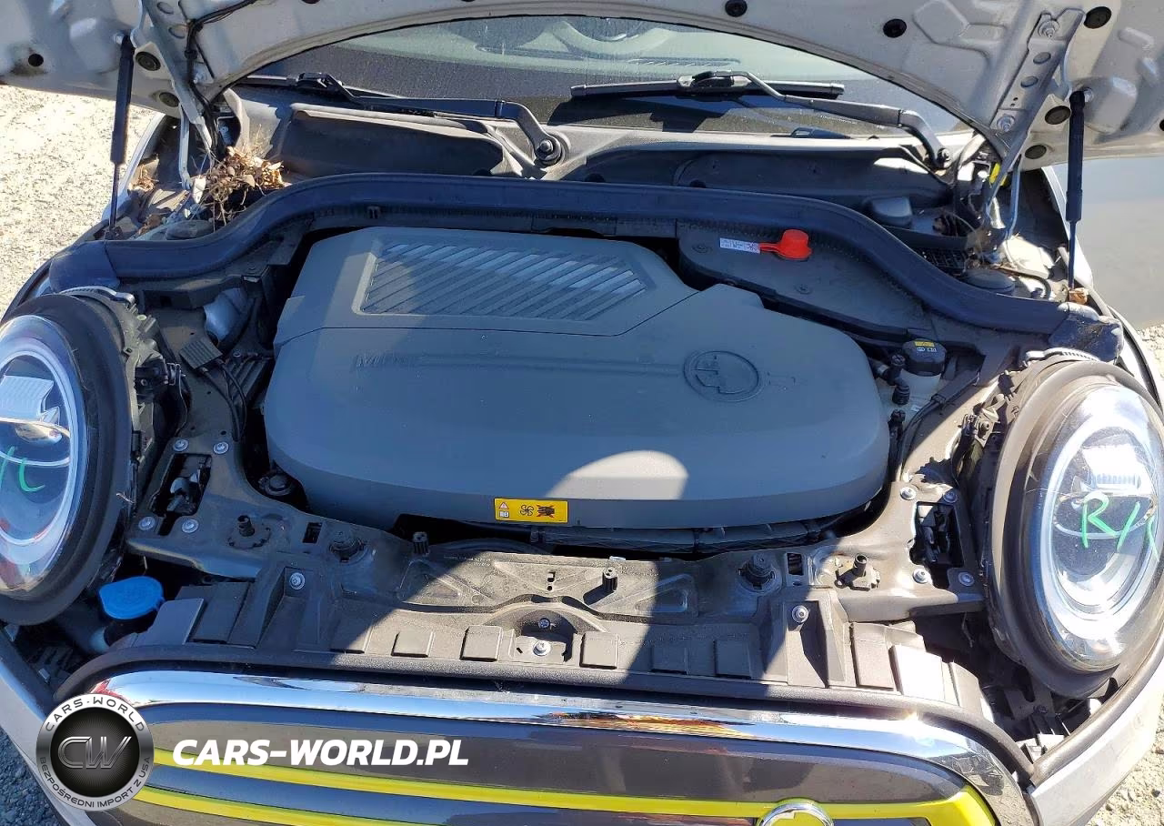 2020 Mini Cooper Se VIN:WMWXP3C0XL2M43625 - 11