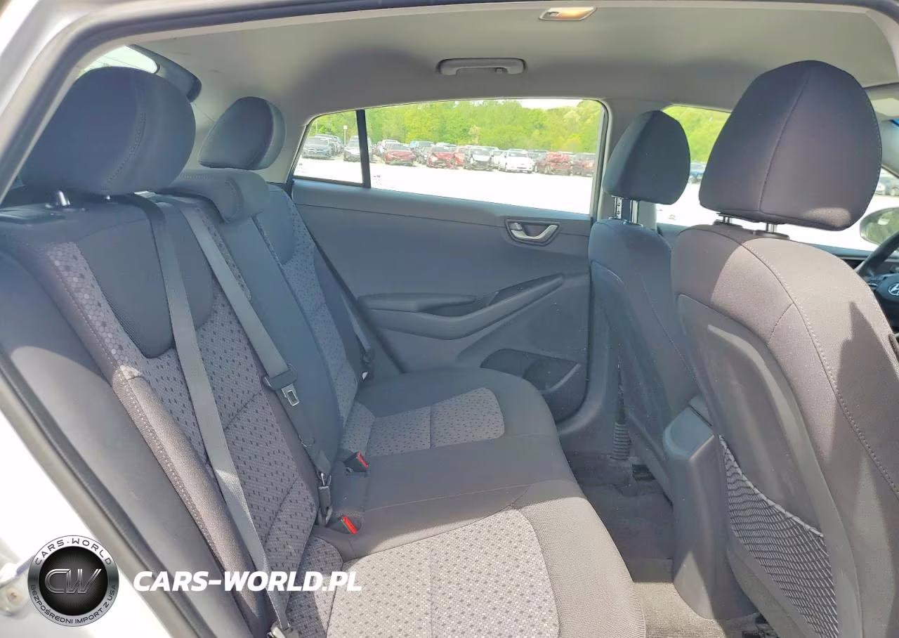 2019 Hyundai Ioniq Blue VIN:KMHC65LC7KU160978 - 10