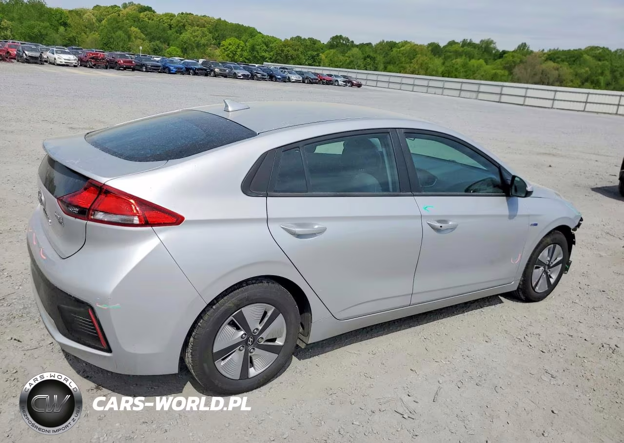 2019 Hyundai Ioniq Blue VIN:KMHC65LC7KU160978 - 3