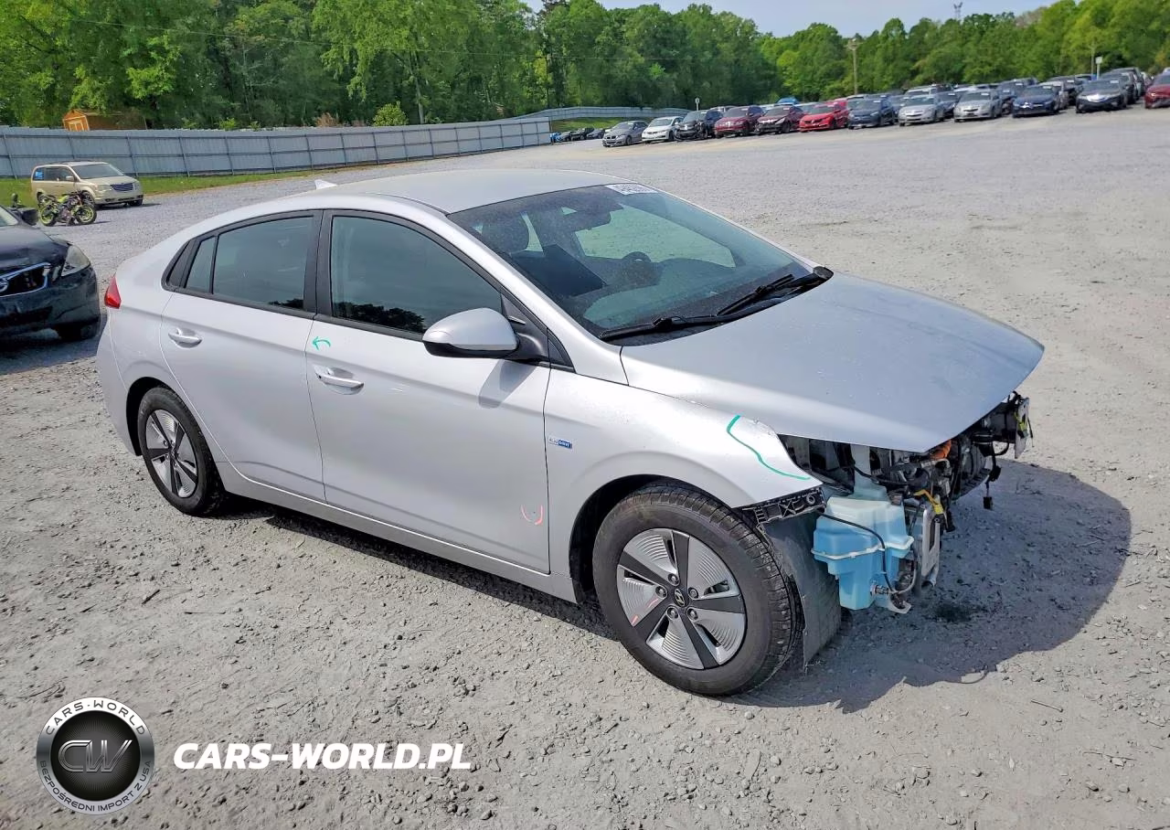 2019 Hyundai Ioniq Blue VIN:KMHC65LC7KU160978 - 4