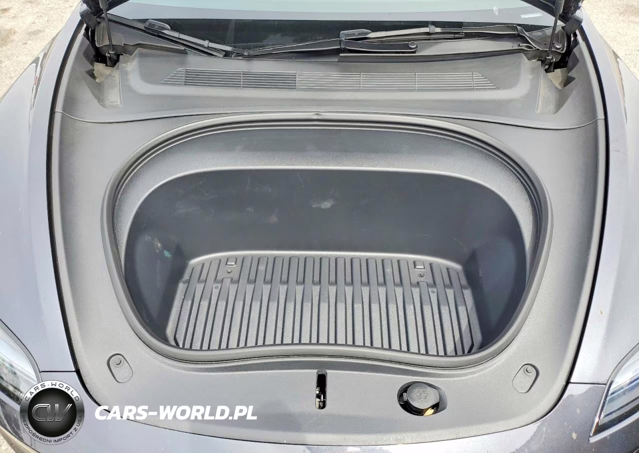 2025 Tesla Model 3 VIN:5YJ3E1EA1SF920164 - 11