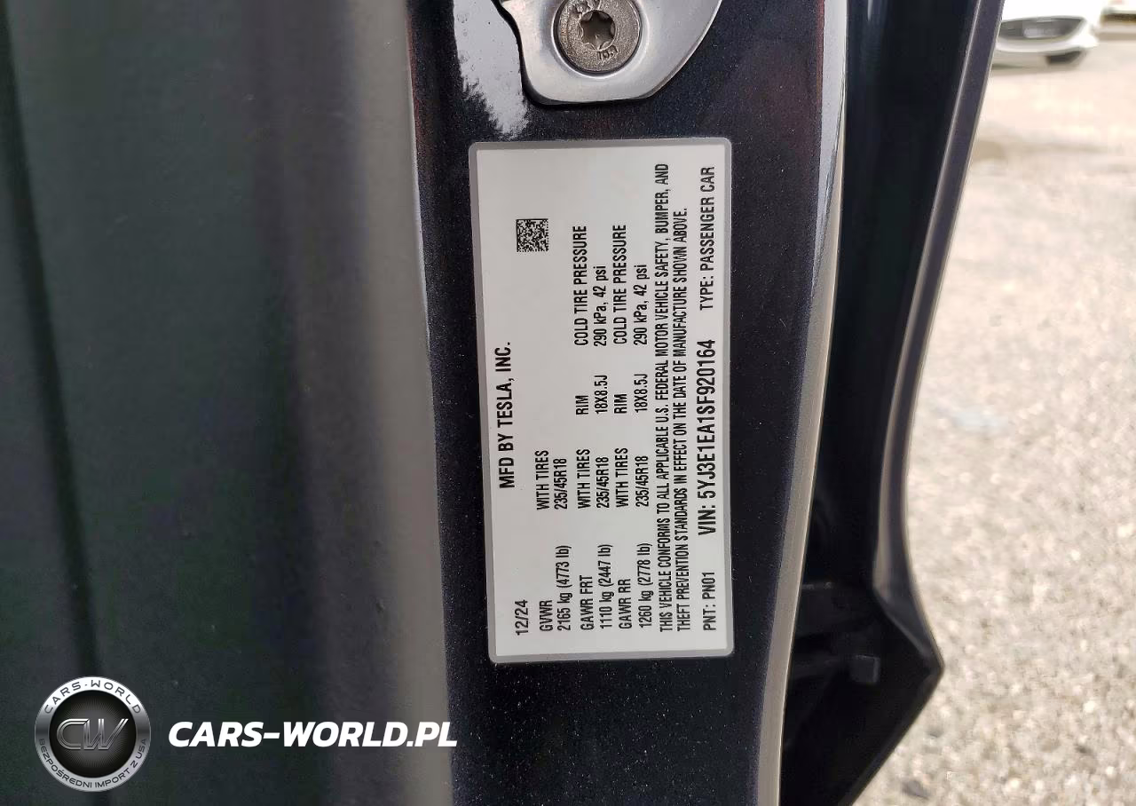 2025 Tesla Model 3 VIN:5YJ3E1EA1SF920164 - 12