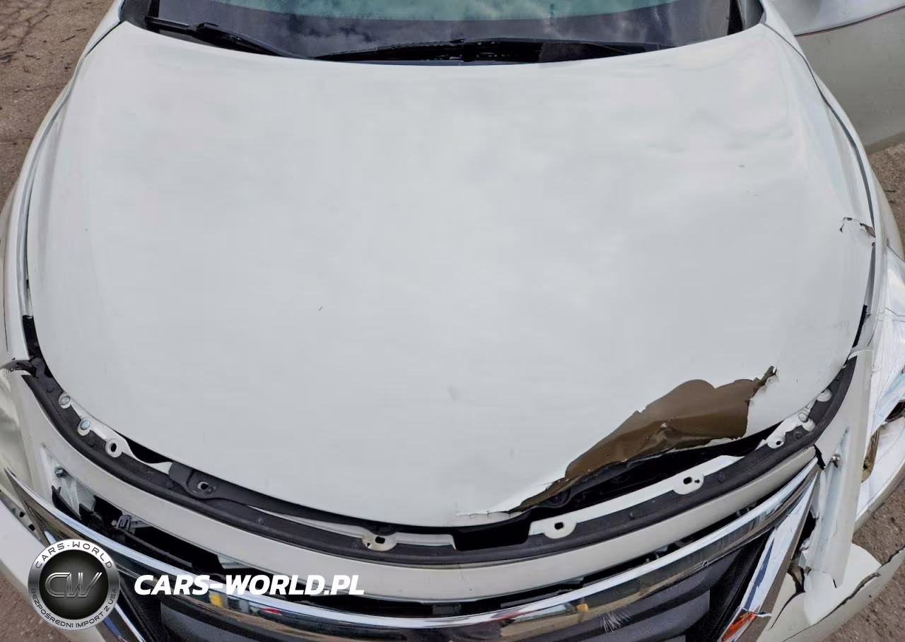 2013 Nissan Altima 2.5 VIN:1N4AL3AP8DC110684 - 11