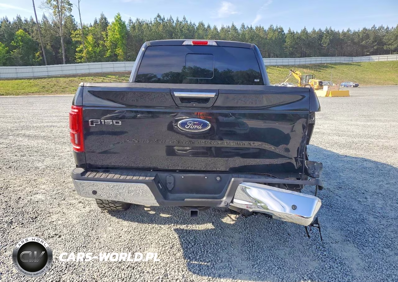 2016 Ford F150 Supercrew VIN:1FTEW1EG0GFA24662 - 6