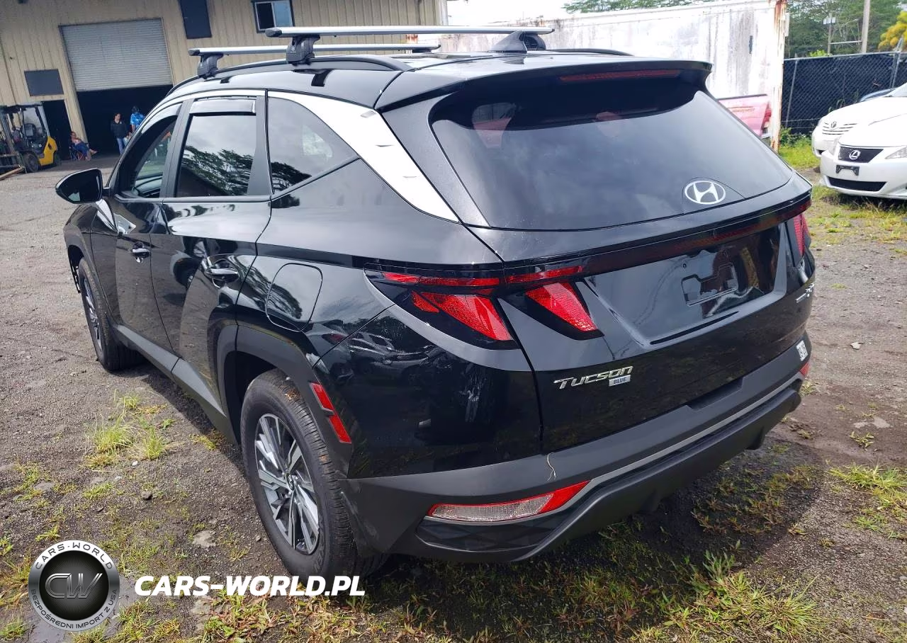 2024 Hyundai Tucson Blue VIN:KM8JBCD12RU237688 - 2