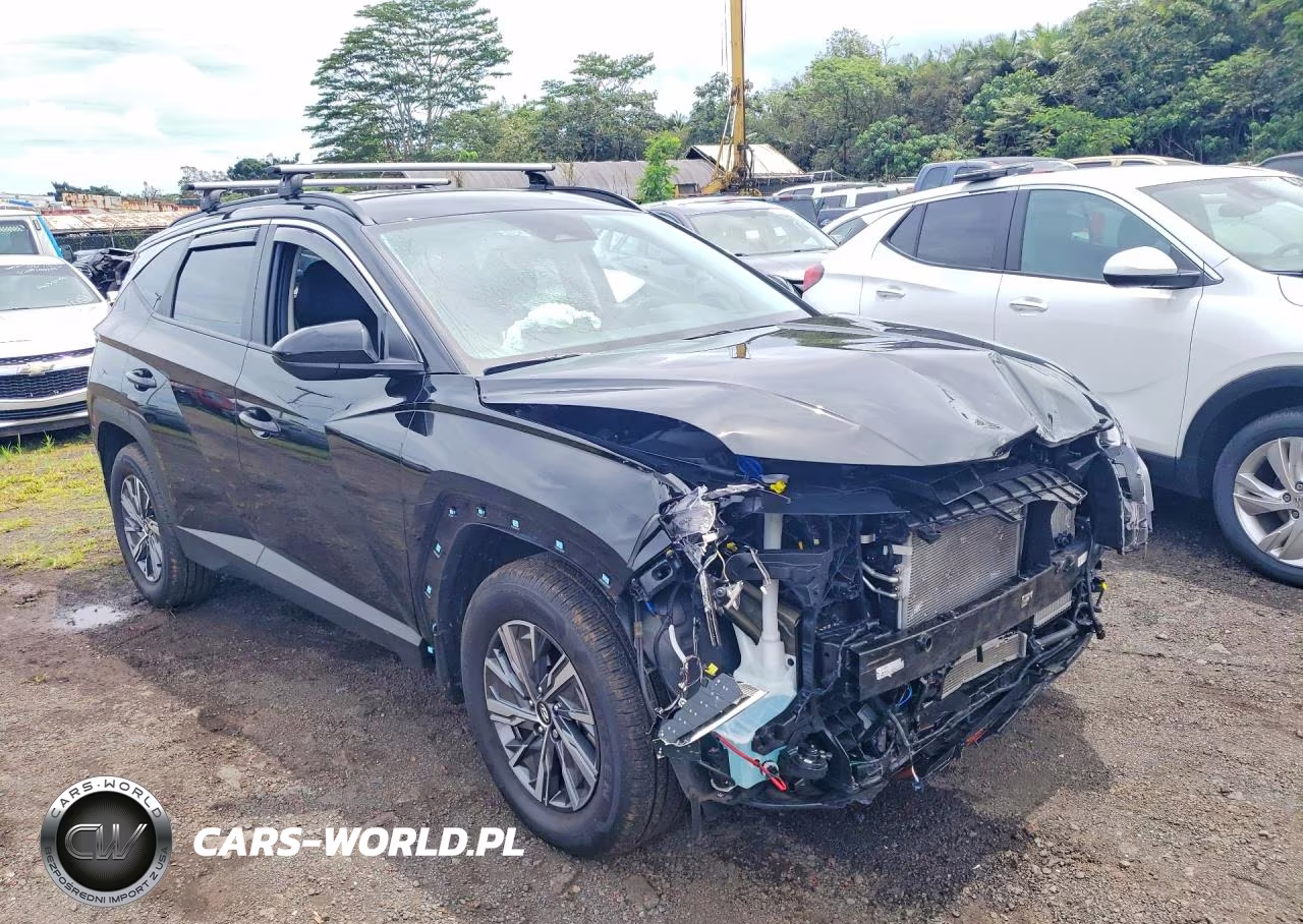 2024 Hyundai Tucson Blue VIN:KM8JBCD12RU237688 - 4