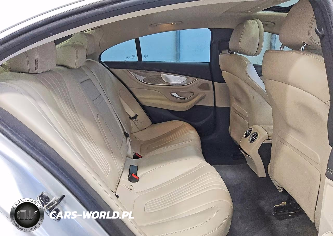 2019 Mercedes-Benz Cls 450 VIN:WDD2J5JB9KA027722 - 10