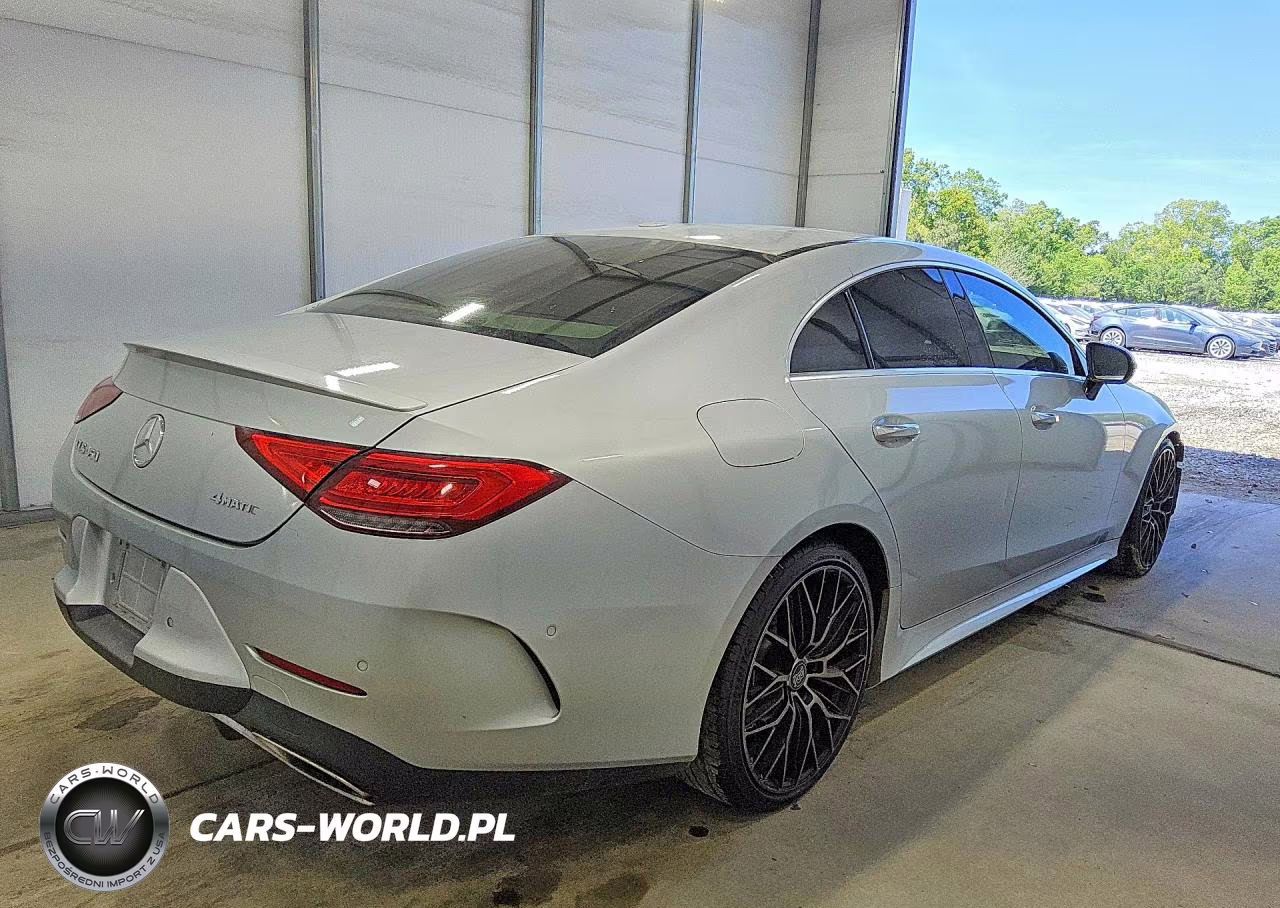 2019 Mercedes-Benz Cls 450 VIN:WDD2J5JB9KA027722 - 3