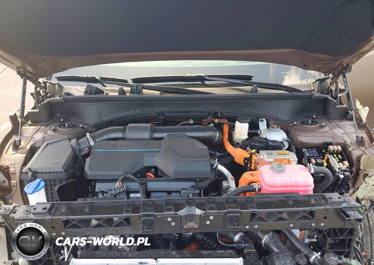2025 Hyundai Santa Fe Hybrid Calligraphy VIN:5NMP54G19SH071464 - 12