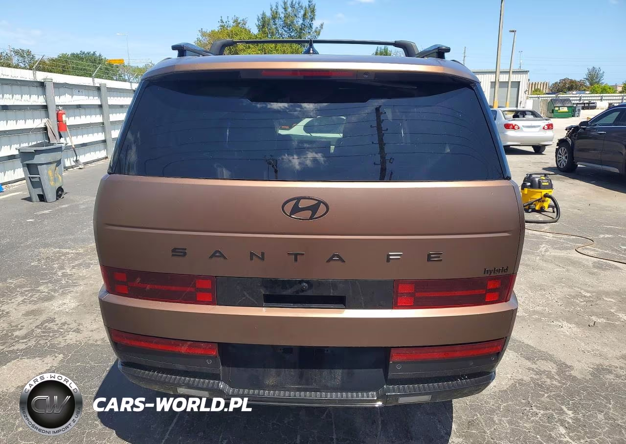 2025 Hyundai Santa Fe Hybrid Calligraphy VIN:5NMP54G19SH071464 - 6