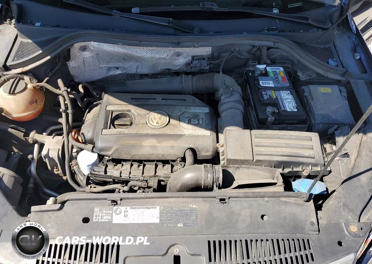 2011 Volkswagen Tiguan S VIN:WVGAV7AX0BW504327 - 12