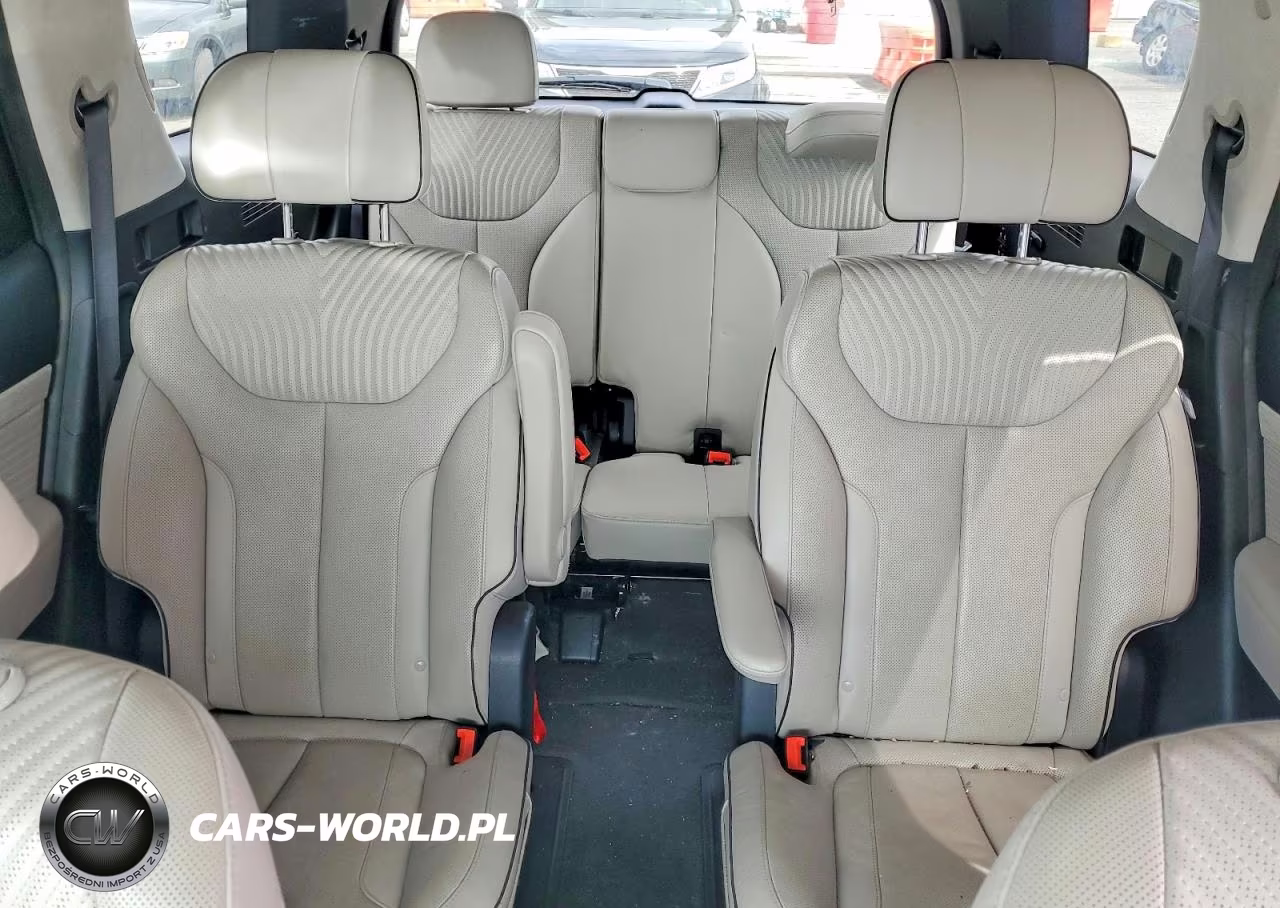 2023 Hyundai Palisade Calligraphy VIN:KM8R7DGEXPU540014 - 10