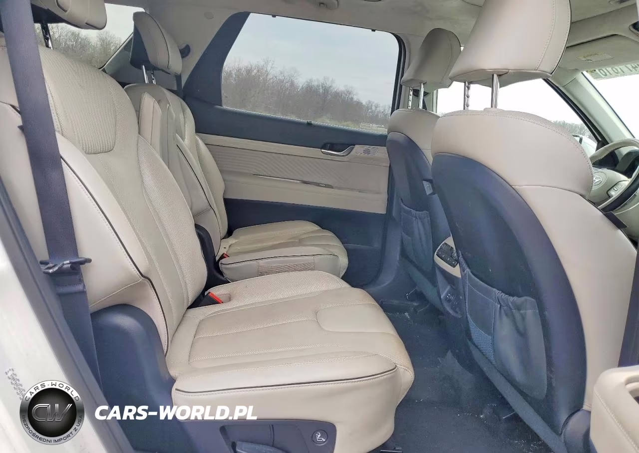 2023 Hyundai Palisade Calligraphy VIN:KM8R7DGEXPU540014 - 11